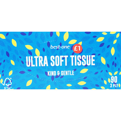 Bestin Facial Tissue   90s × 12 × 1