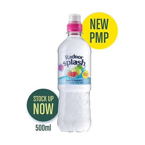 Radnor Splash Apple & Raspberry Still Flavoured Spring Water 500ml 500ml × 12 × 1